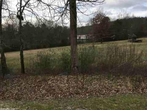 142 Redden Trl, Mountain Pine, AR 71956 photo 5