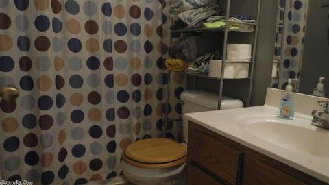 1427 David Lee Rd, Haskell, AR 72015 photo 13