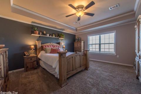273 Cinel Loop, Austin, AR 72007 photo 12