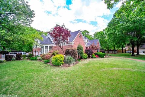 393 Pippinpost Dr, Conway, AR 72034 photo 39