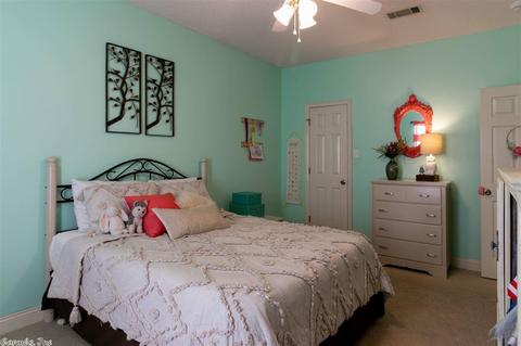 793 Drake Dr, Conway, AR 72034 photo 27