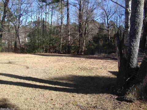 15430 Kathy Dr, Alexander, AR 72002 photo 25