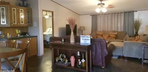28 Lizs Ct, Mount Ida, AR 71957 photo 17