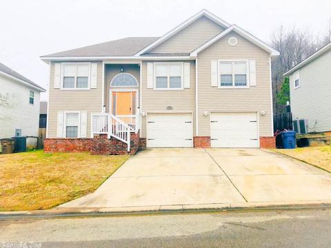 1009 Clinton Ct, Alexander, AR 72002 photo 1