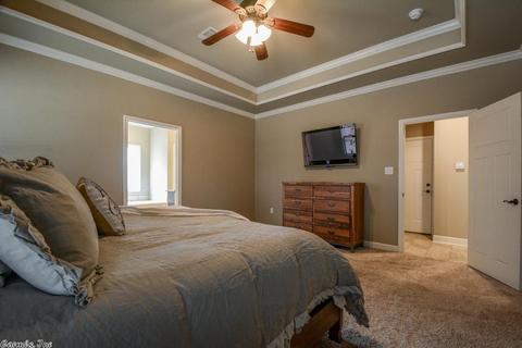 332 Zoe Ln, Alexander, AR 72002 photo 20