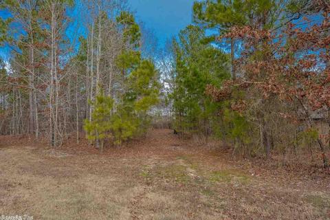332 Zoe Ln, Alexander, AR 72002 photo 30