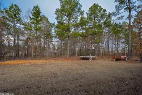 332 Zoe Ln, Alexander, AR 72002 photo 32