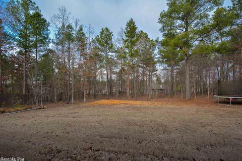 332 Zoe Ln, Alexander, AR 72002 photo 29