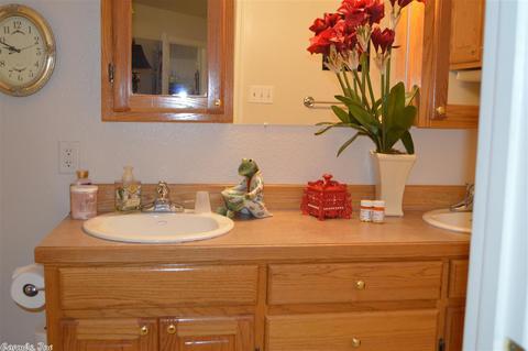 121 Leopard Dr, De Queen, AR 71832 photo 10