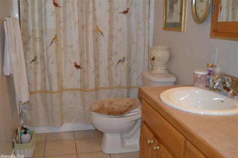121 Leopard Dr, De Queen, AR 71832 photo 8
