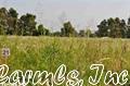 lot23 Planters Row, Scott, AR 72142 photo 5