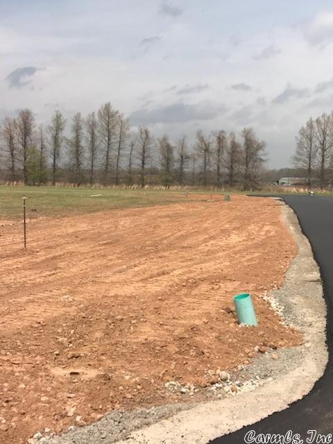 lot23 Planters Row, Scott, AR 72142 photo 14