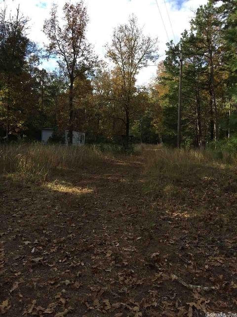 24 Potters Pt, Higden, AR 72067 photo 7