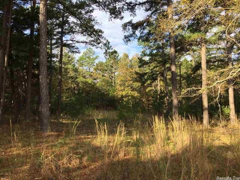 24 Potters Pt, Higden, AR 72067 photo 4