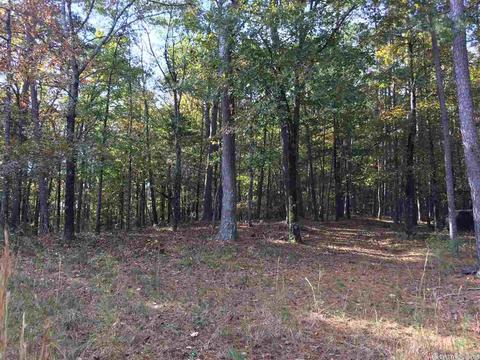 24 Potters Pt, Higden, AR 72067 photo 8
