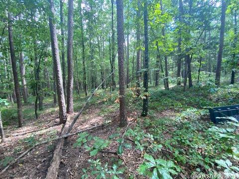 24 Potters Pt, Higden, AR 72067 photo 1