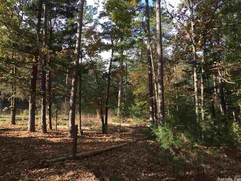 24 Potters Pt, Higden, AR 72067 photo 6
