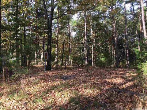 24 Potters Pt, Higden, AR 72067 photo 3