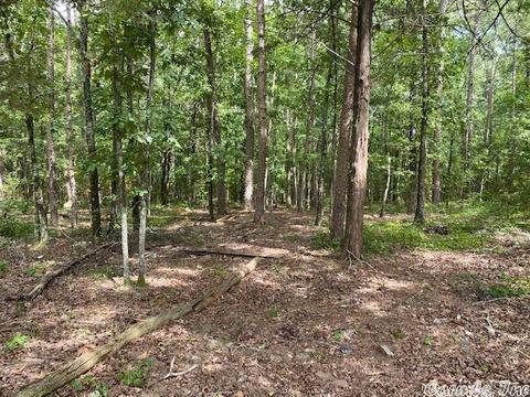 24 Potters Pt, Higden, AR 72067 photo 9
