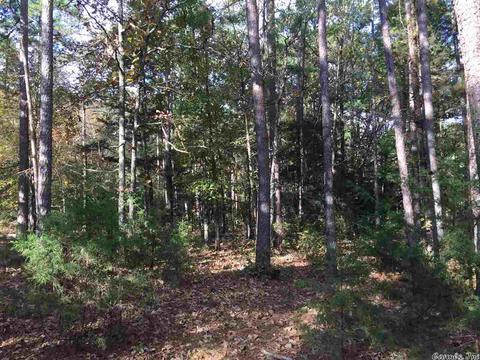 24 Potters Pt, Higden, AR 72067 photo 5