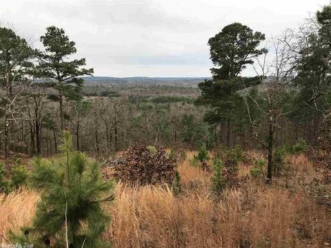 129 Brandon, Mayflower, AR 72106 photo 14