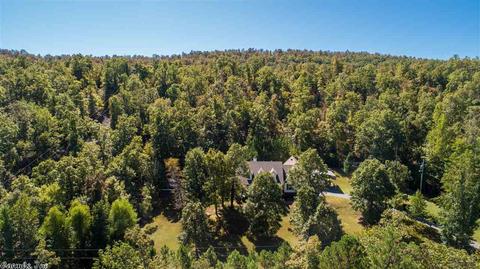 4115 Deer Dr, Paron, AR 72122 photo 9