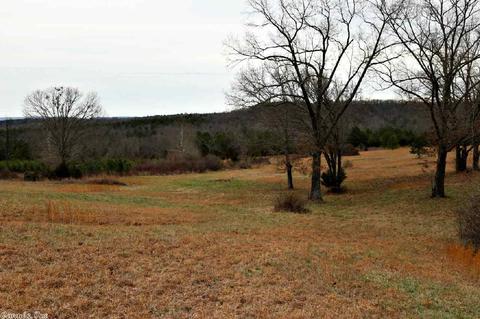 3742 Ranch Rd, Bee Branch, AR 72013 photo 35