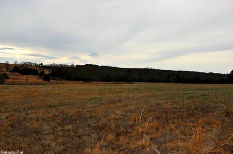 3742 Ranch Rd, Bee Branch, AR 72013 photo 38