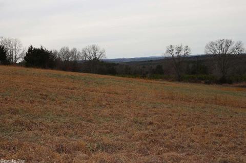 3742 Ranch Rd, Bee Branch, AR 72013 photo 32
