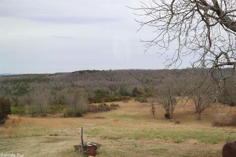 3742 Ranch Rd, Bee Branch, AR 72013 photo 34