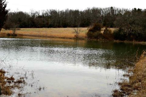 3742 Ranch Rd, Bee Branch, AR 72013 photo 37