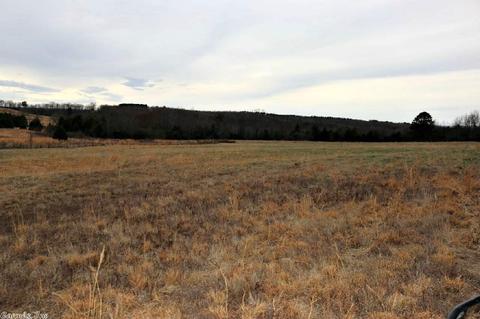 3742 Ranch Rd, Bee Branch, AR 72013 photo 36