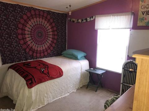 671 Hill Point Rd, Clinton, AR 72031 photo 17