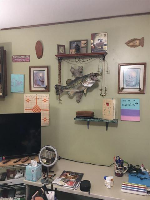 671 Hill Point Rd, Clinton, AR 72031 photo 25
