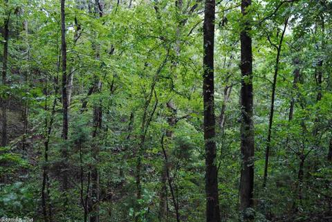 492 Maple Hill Ln, Marshall, AR 72650 photo 17