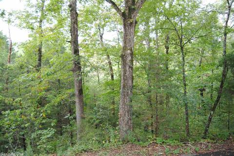 492 Maple Hill Ln, Marshall, AR 72650 photo 37