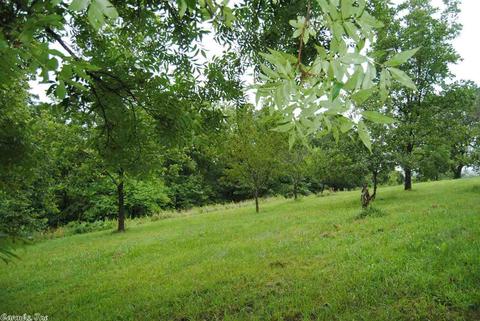 492 Maple Hill Ln, Marshall, AR 72650 photo 30