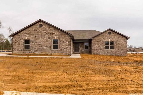 35 Chesapeake Dr, Austin, AR 72007 photo 1