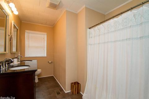 710 Peach St, Prattsville, AR 72129 photo 19