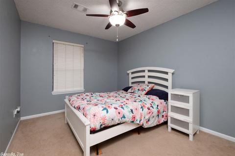 1 Eagle Crest Dr, Conway, AR 72032 photo 15