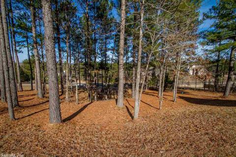 11054 Stonehill Dr, Alexander, AR 72002 photo 40