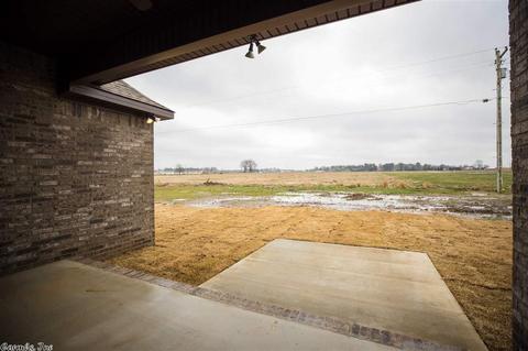 105 Williams Ln, Manila, AR 72442 photo 13