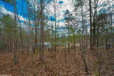 333 Zoe Ln, Alexander, AR 72002 photo 36