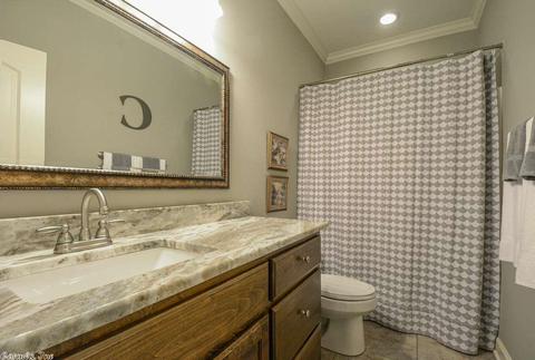 333 Zoe Ln, Alexander, AR 72002 photo 30