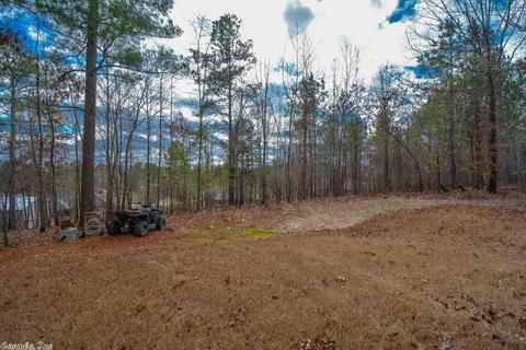 333 Zoe Ln, Alexander, AR 72002 photo 34