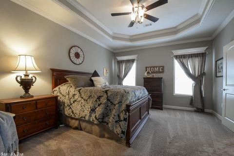333 Zoe Ln, Alexander, AR 72002 photo 21