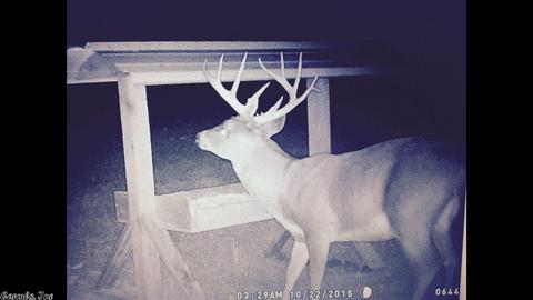 13681 Reeves Rd, Alexander, AR 72002 photo 25