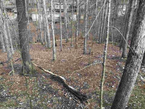 55 Bass Dr, Mount Ida, AR 71957 photo 19