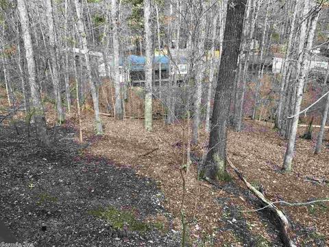 55 Bass Dr, Mount Ida, AR 71957 photo 18