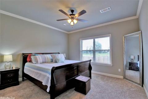 734 Mango Loop, Austin, AR 72007 photo 21